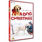 A Dog Named Christmas (UK) (DVD)