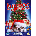 A Bulldog for Christmas (UK) (DVD)