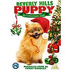 Beverly Hills Puppy (UK) (DVD)