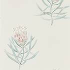 Sanderson Protea Flower Porcelain Blush (216330)