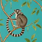Sanderson Ringtailed Lemur Teal (216663)