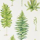 Sanderson Fernery Botanical Green (216633)