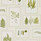 Sanderson Fern Gallery Ivory Green (215712)