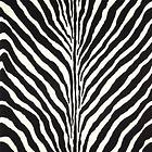Ralph Lauren Bartlett Zebra Charcoal (PRL5017-04)