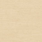 Galerie Palazzo Collection (G67662)