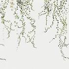 Sandberg Wallpaper Arboretum Aralia (640-04)