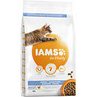 Iams for Vitality Cat Adult Dental 10kg