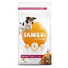 Iams for Vitality Dog Senior Large 3kg