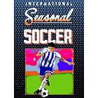 Seasonal Soccer (PC)