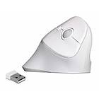 DeLock Ergonomic Vertical USB Wireless Mouse