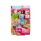 Barbie Play N Wash Pets Doll and Playset FXH12