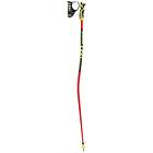 Leki WC Racing GS TBS