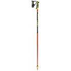 Leki WC Racing Lite SL