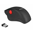 DeLock Ergonomic USB Wireless Mouse