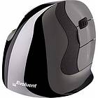 Evoluent Vertical Mouse D Small Wireless (Right)