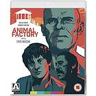 Animal Factory (UK) (Blu-ray)