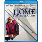 Home for the Holidays (US) (Blu-ray)