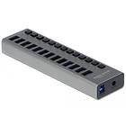 DeLock 13-Port USB 3.0 External Hub (63977)