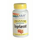 Solaray Ingefær Organic 100 Capsules