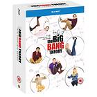 Big Bang Theory - Complete Collection (UK) (Blu-ray)