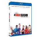 The Big Bang Theory - Sesong 12 (Blu-ray)