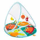 Fisher-Price Fold & Go Portable Baby Gym