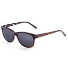 Lenoir Nancy Polarized