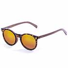 Lenoir Lenoirne Polarized