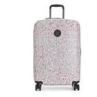 Kipling Curiosity M
