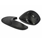 DeLock Ergonomic Optical 5-button Right Wireless