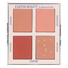 Carter Beauty Cosmetics Mini Blusher Palette