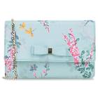 Ted Baker Jadde Sorbet Evening Bag