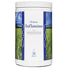 Holistic Inflamino 0,91kg