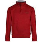 Regatta Lardner Half Zip Fleece (Herr)