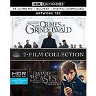 Fantastic Beasts - 2-Film Collection (UHD+BD+DC)