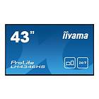 Iiyama ProLite LH4346HS-B1 Full HD IPS