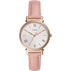 Fossil Daisy ES4794