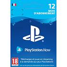 Sony PlayStation Now 12 Months Subscription Card