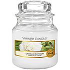 Yankee Candle Small Jar Camelia Blossom