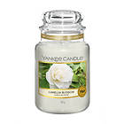 Yankee Candle Large Jar Camelia Blossom