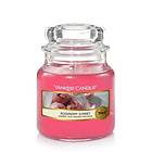 Yankee Candle Small Jar Roseberry Sorbet