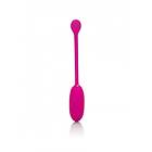 CalExotics Recharge Kegel Ball Advanced