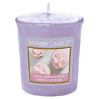 Yankee Candle Votives Sweet Morning Rose