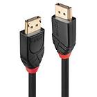 Lindy Active 21.6Gbps DisplayPort - DisplayPort 15m