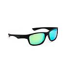 Bliz Hudson Polarized