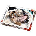 Trefl Premium Quality Pussel Cheerful Kitten 1000 Bitar