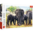 Trefl Premium Quality Puslespill African Elephants 1000 Brikker