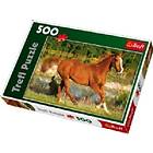 Trefl Premium Quality Pussel The Beauty Of Gallop 500 Bitar