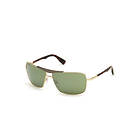 Web Eyewear WE0280