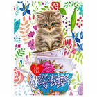 Ravensburger Pussel Kitten In A Cup 500 Bitar